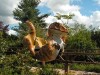 Dino
